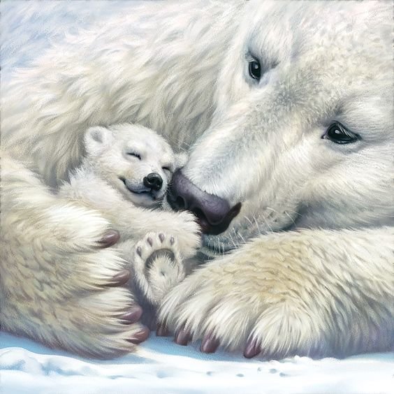 Белые медведи - медведь, дикие животные - оригинал