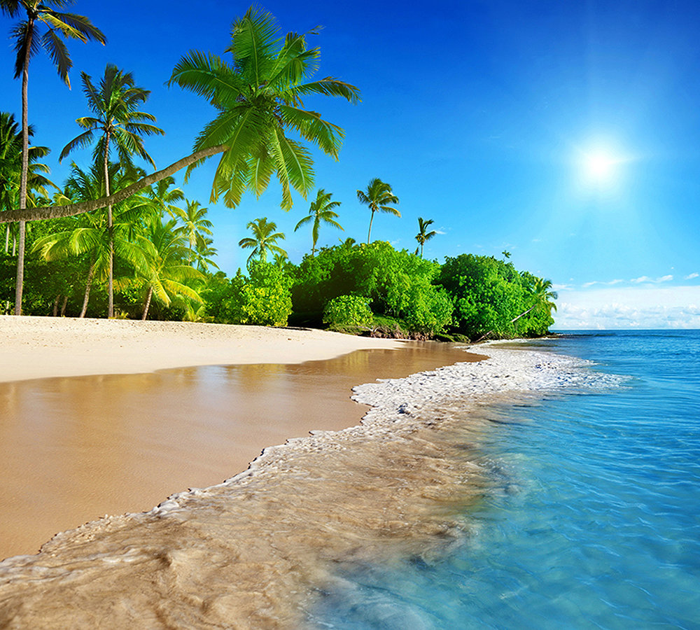 Солнечный берег - пальмы, пляж., берег, море - оригинал