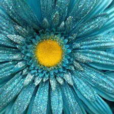 Схема вышивки «Гербера бирюза»