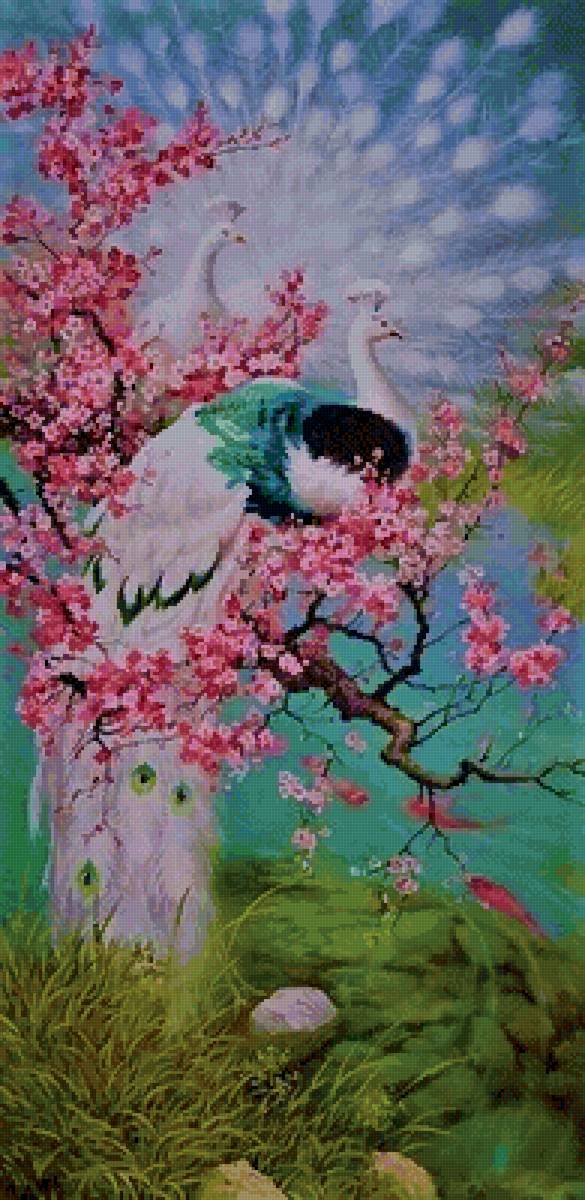 Пара - птицы - предпросмотр