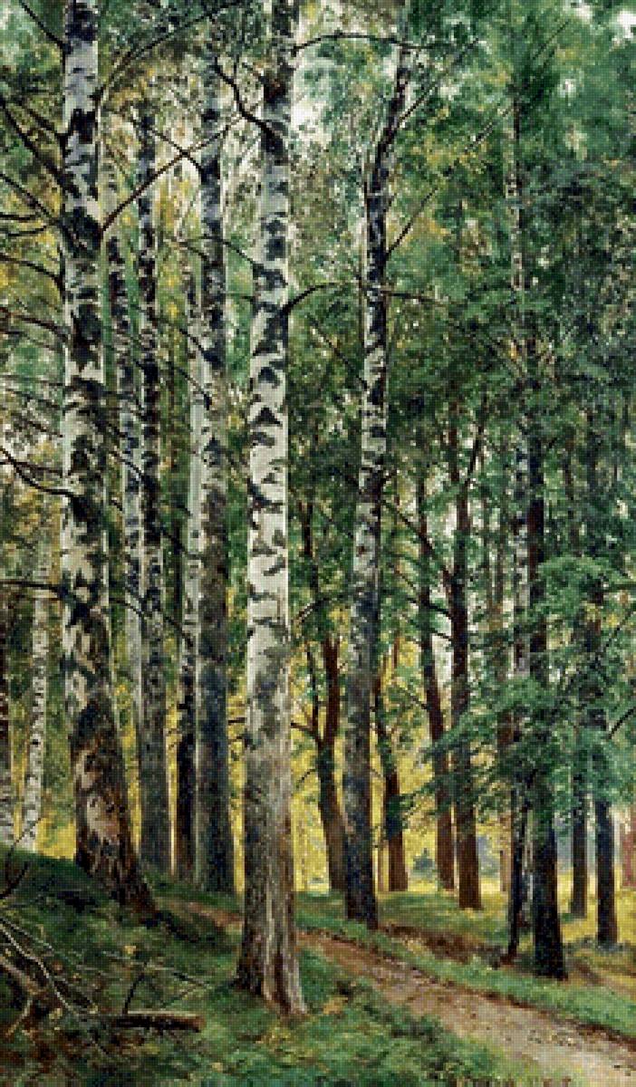 Берёзовая роща. Иван Шишкин. 1896 - русские художники - предпросмотр