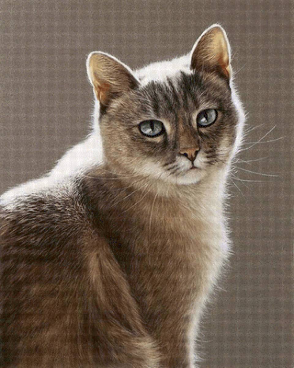 №2576019 - предпросмотр