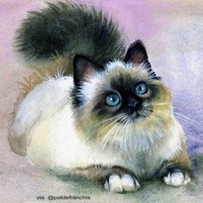 Схема вышивки «,,Мурка,,»