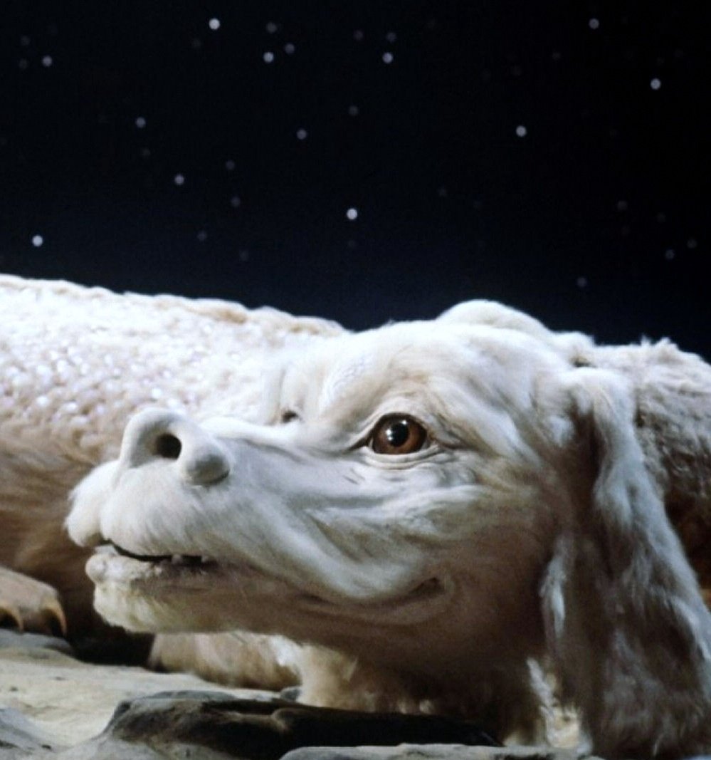 Фалкор. "Бесконечная история" - фэнтези, дракон - оригинал