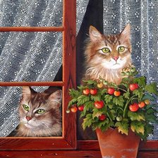 Схема вышивки «№2577681»