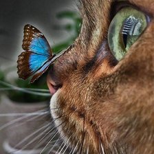 Схема вышивки «№2577682»