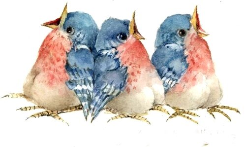 воробьи - рисунок - оригинал