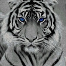 Схема вышивки «№2578327»