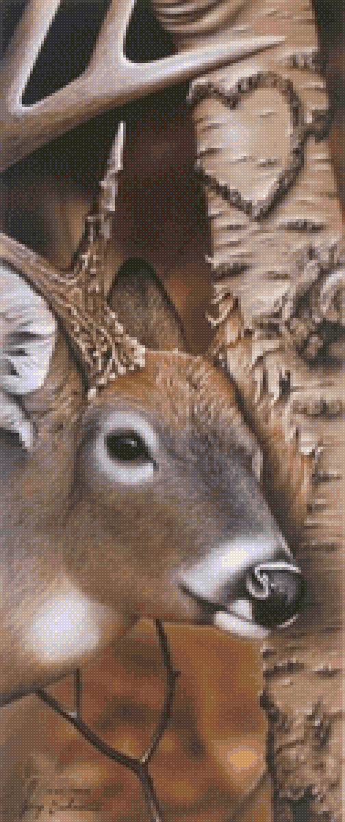 ciervo con corazon - ciervo - предпросмотр