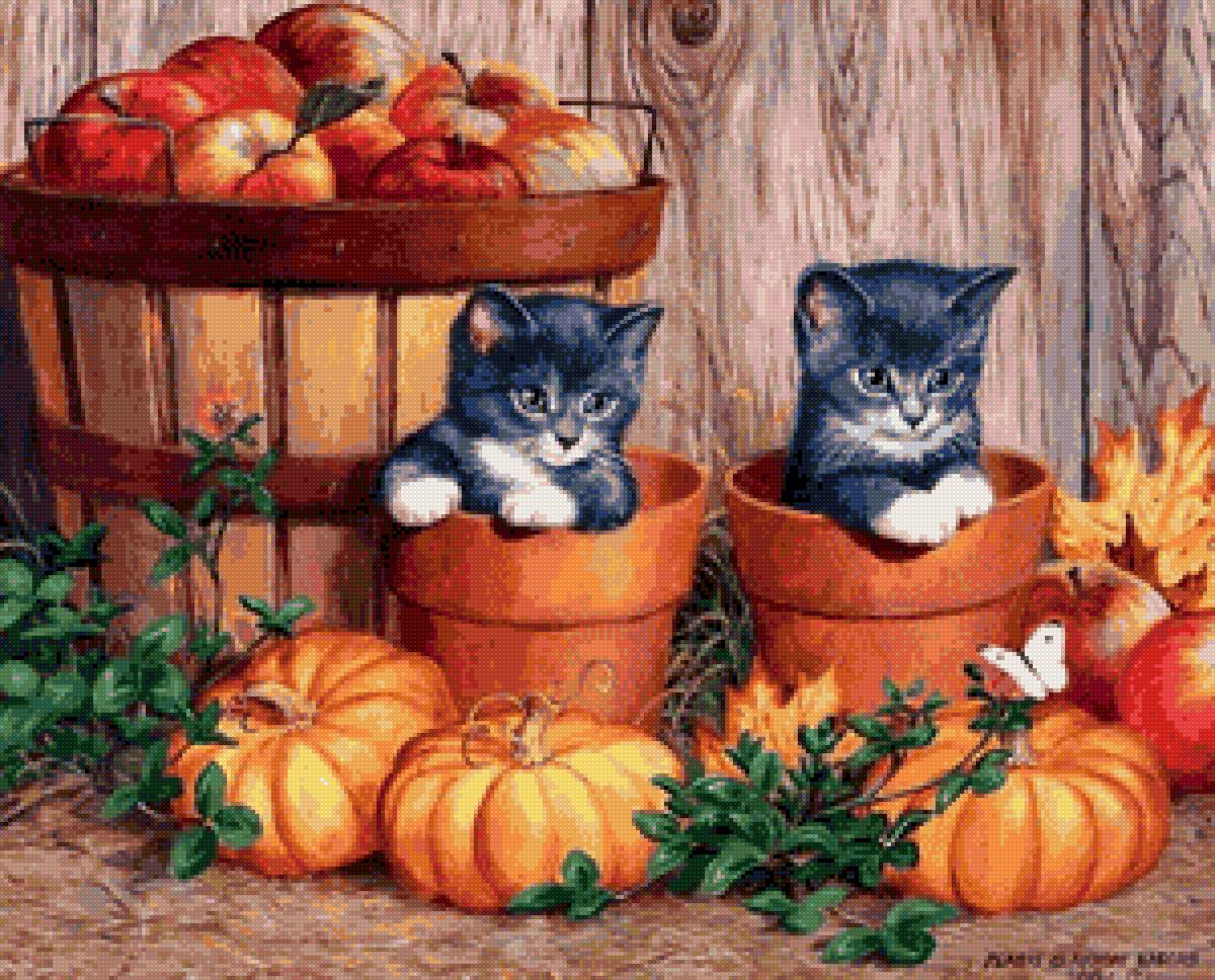 №2579202 - предпросмотр