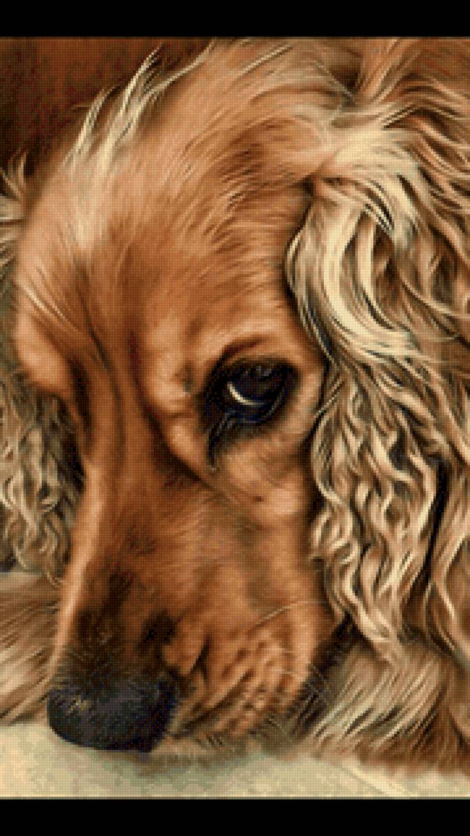 Старый друг - домашние животные, собака - предпросмотр