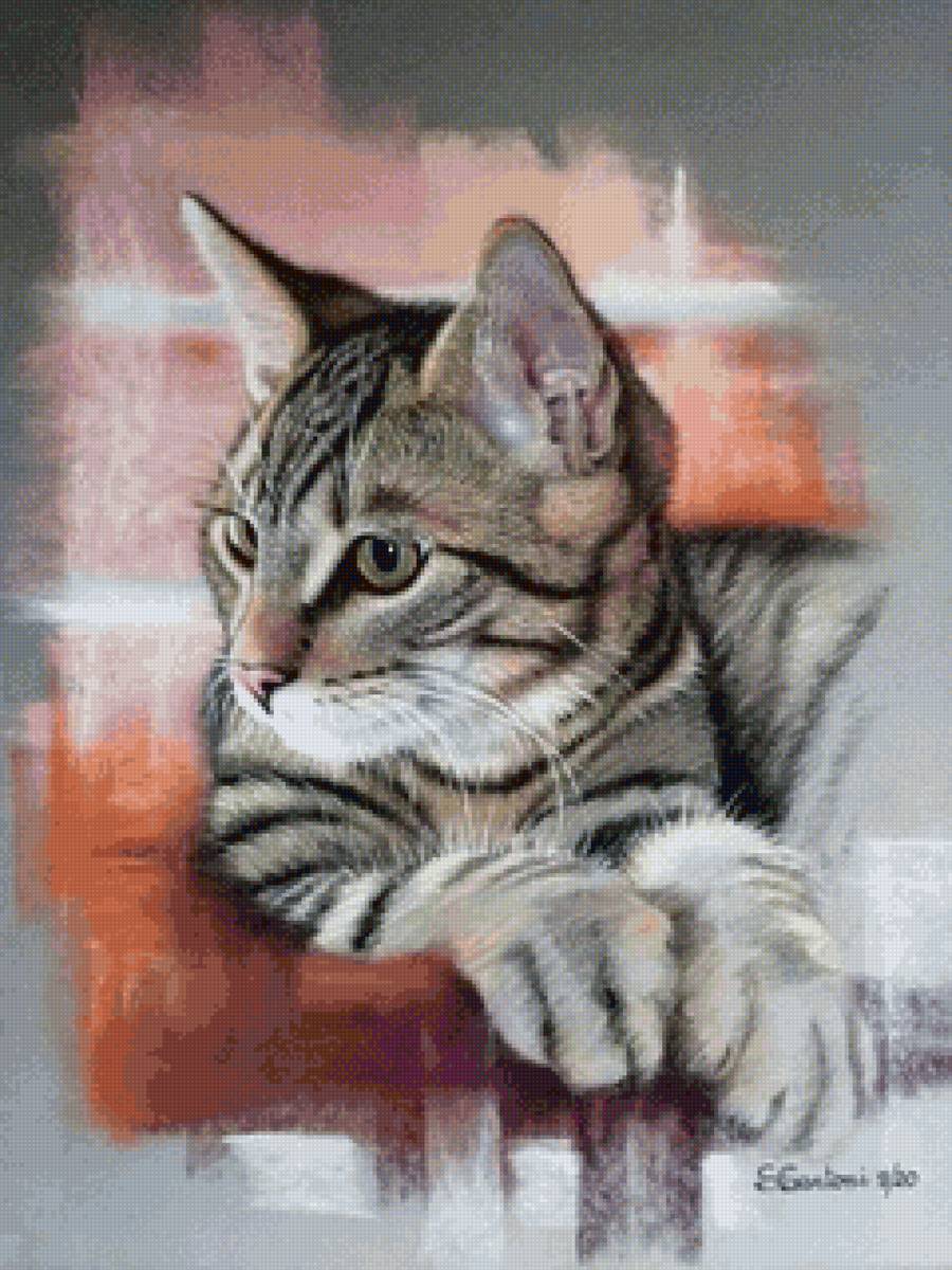 Усатый полосатый - кот, домашние животные - предпросмотр