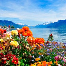 Схема вышивки «Швейцария-цветы и горы»