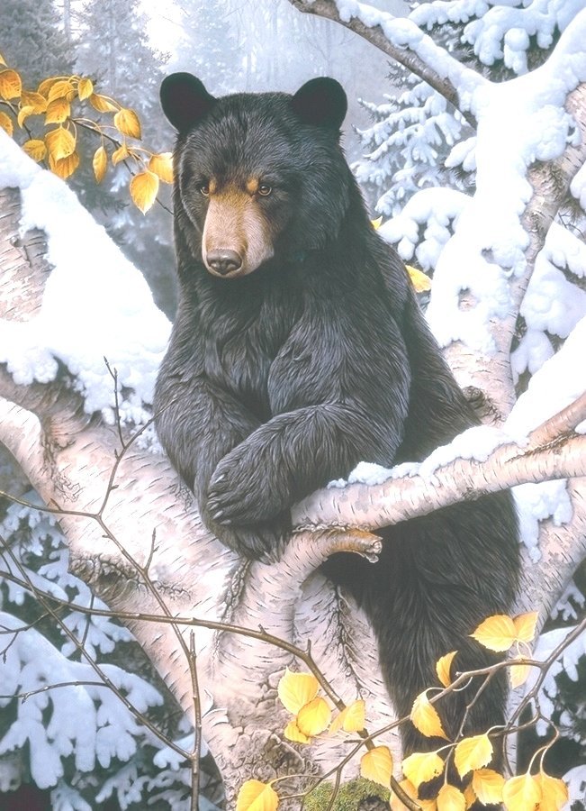 Михал Потапыч - медведь, лес - оригинал