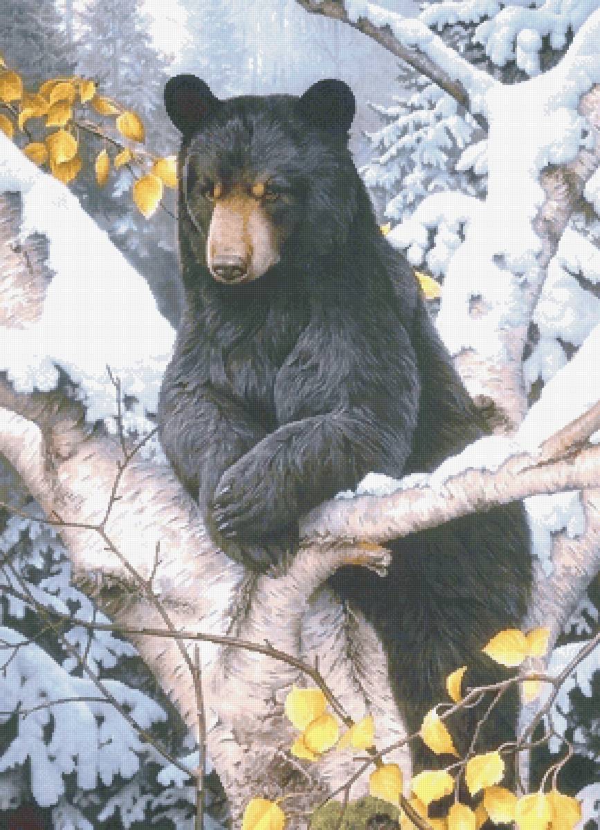 Михал Потапыч - лес, медведь - предпросмотр