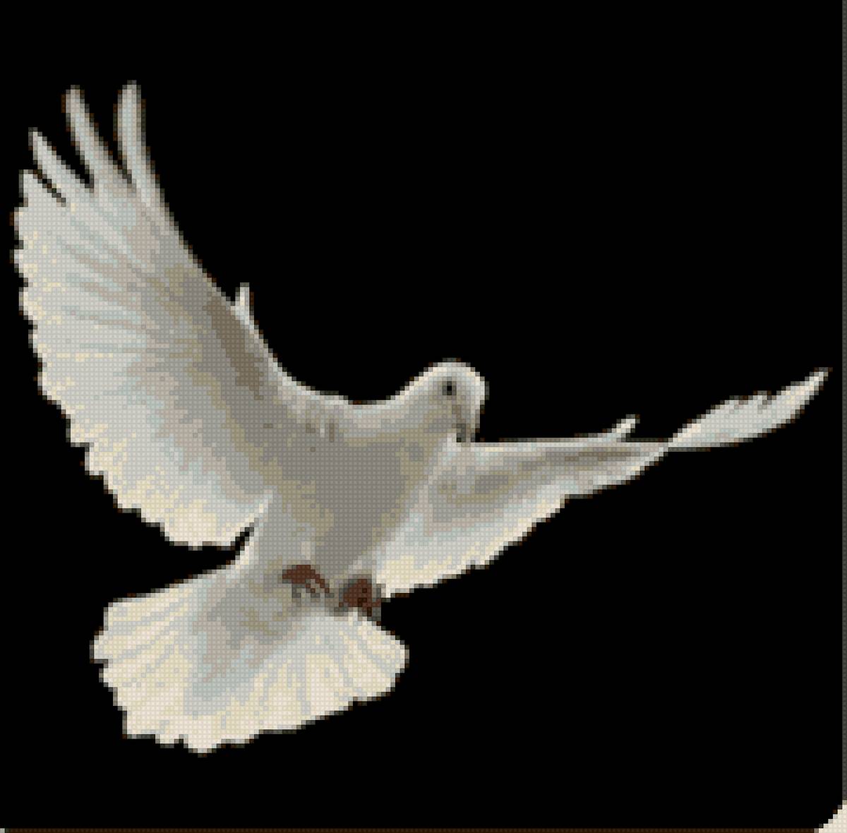 Летящая голубка - голубь - предпросмотр