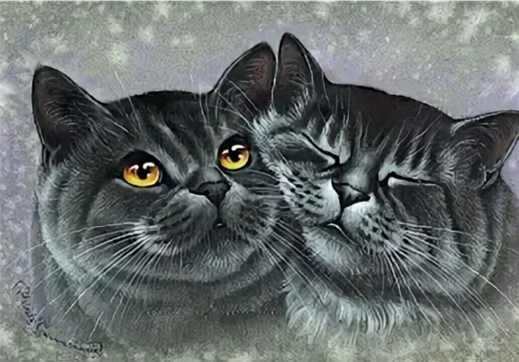 Котики - оригинал