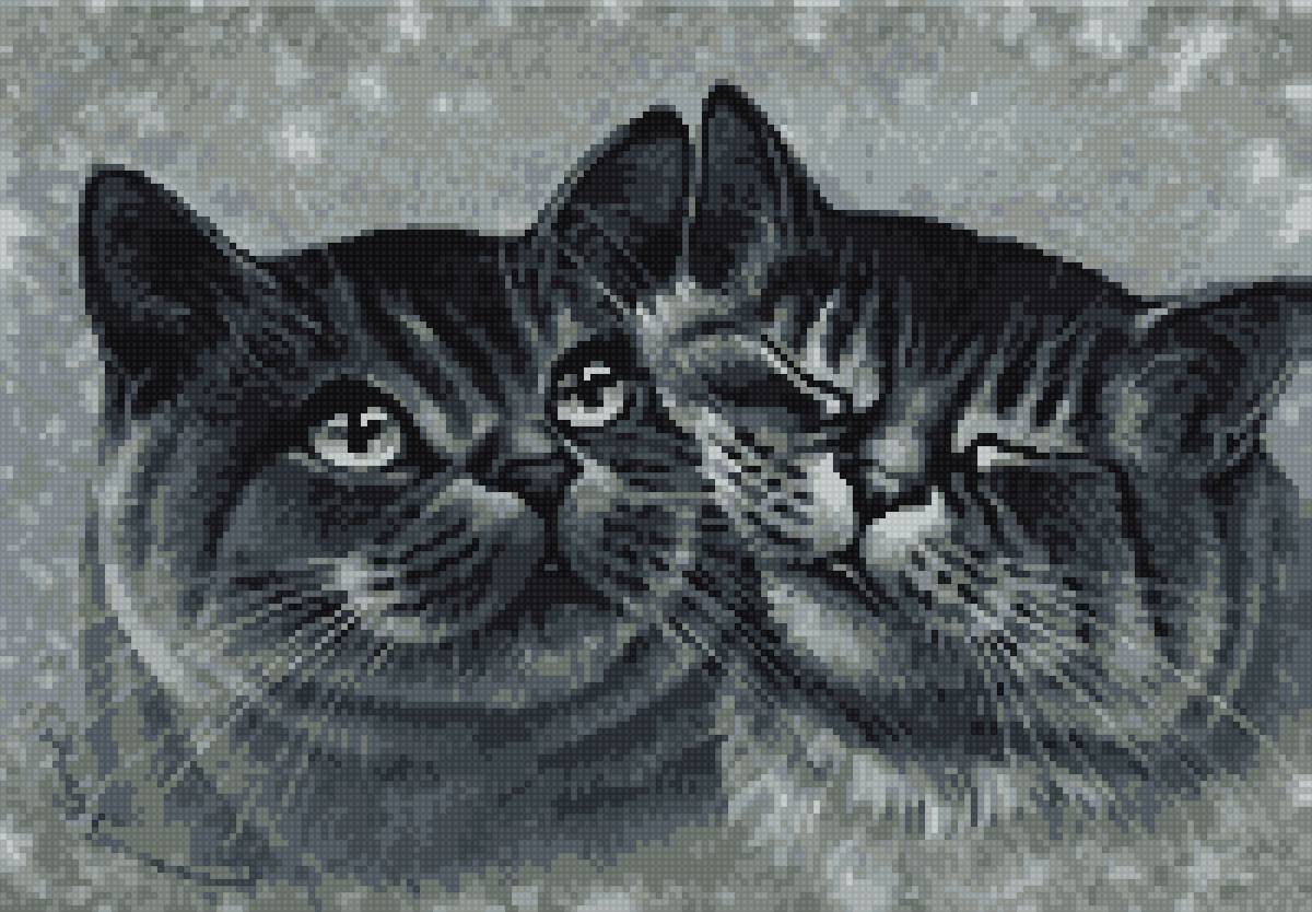 Котики - предпросмотр