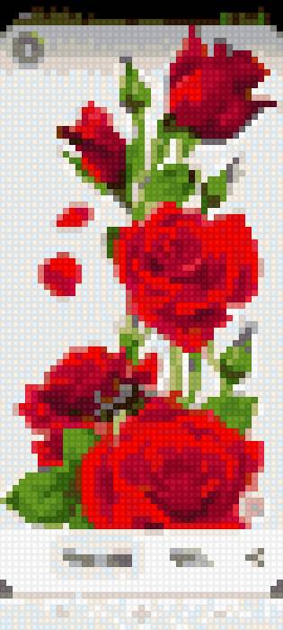 Hoa hong - предпросмотр