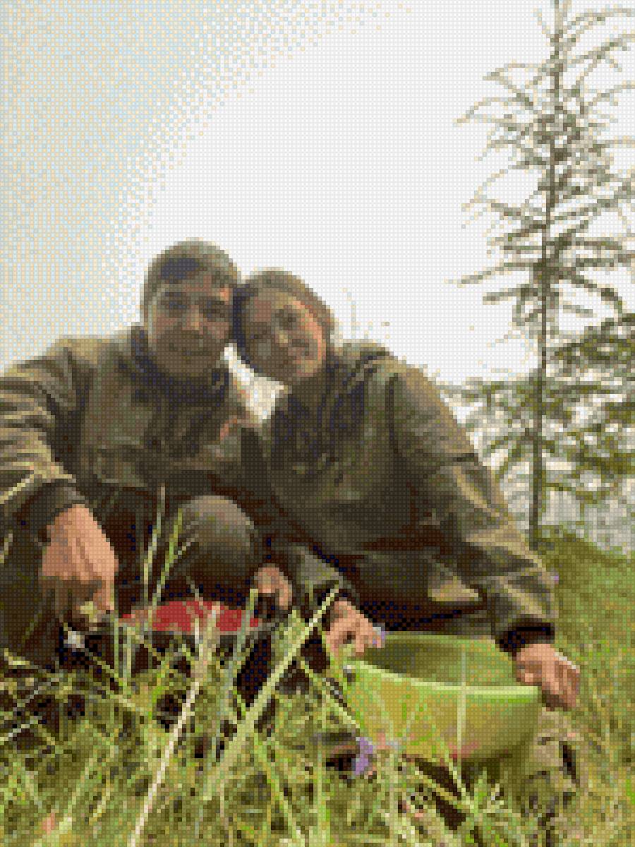 По ягоды - предпросмотр