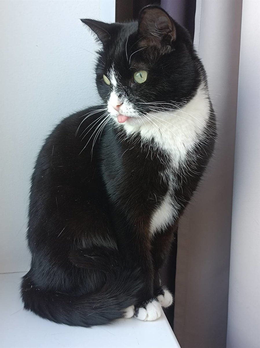 Мартель - оригинал