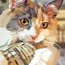 Схема вышивки «Кот»