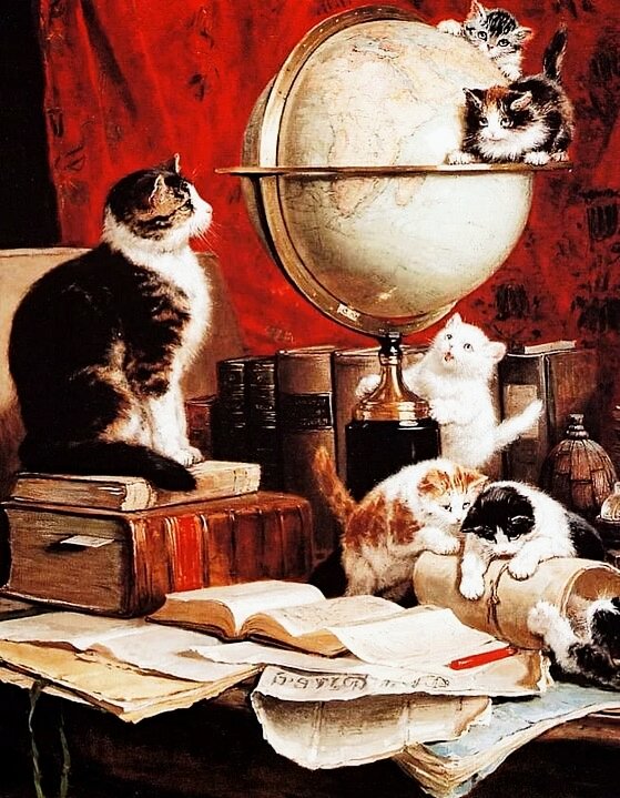 №2582360 - коты, животные - оригинал