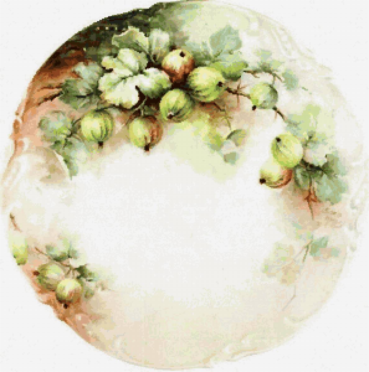 №2582424 - ягоды - предпросмотр