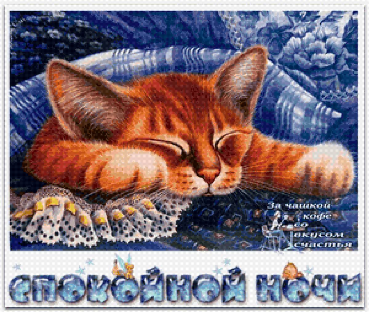 Кот - кот - предпросмотр