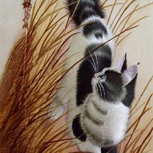 Схема вышивки «Кот»