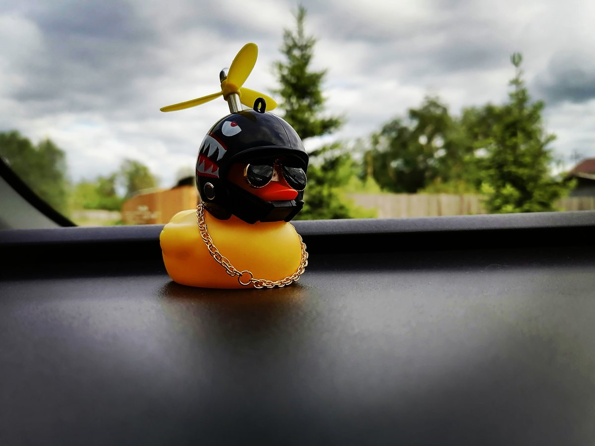 Уточка - утка, дерзость, машина - оригинал