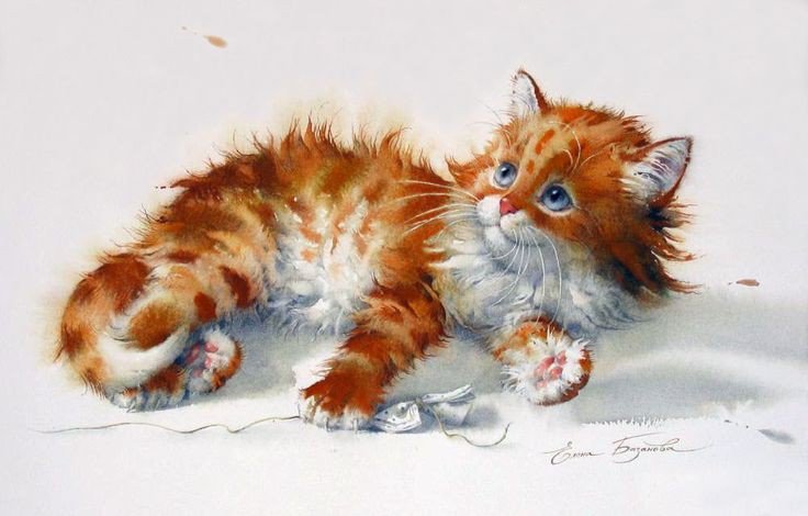 Киска - кот 🐱 - оригинал