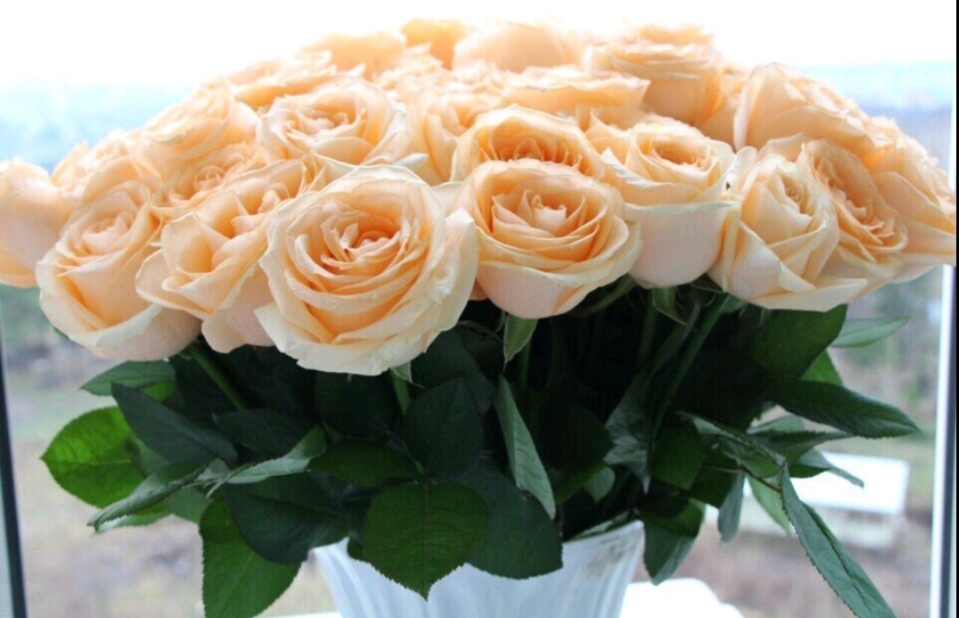 Розы для тебя - для дома, розы - оригинал