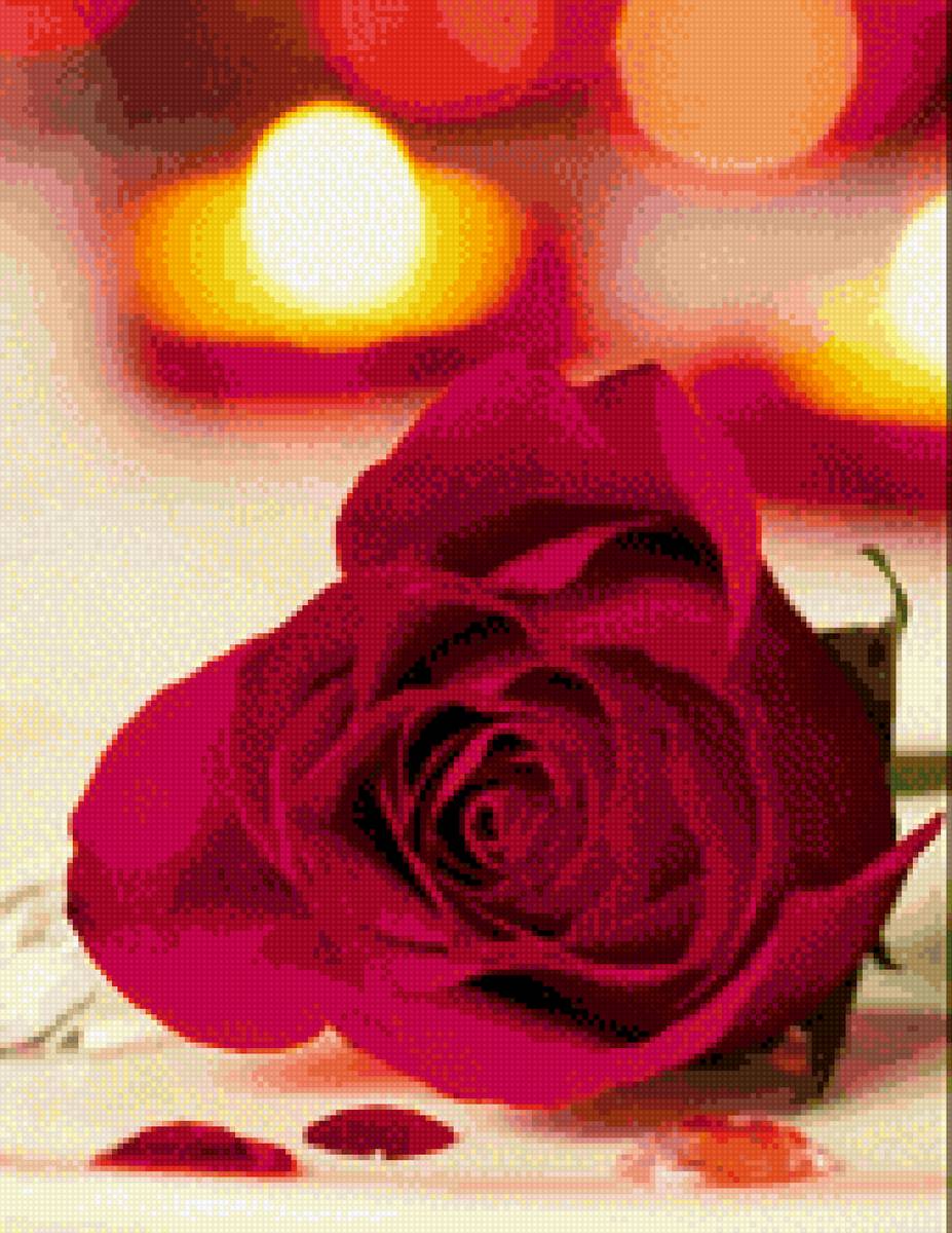 Вечерняя роза - для дома, розы - предпросмотр