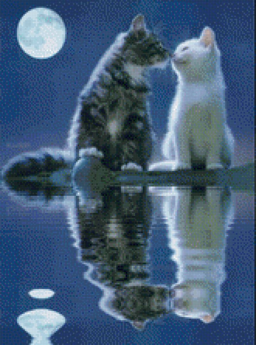 Котики - коты, ночь - предпросмотр