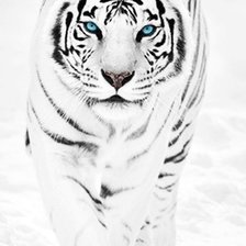 Схема вышивки «№2583840»