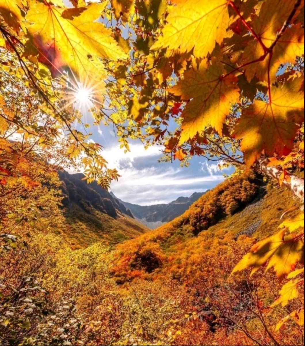 Натюрморт - осень, натюрморт - оригинал