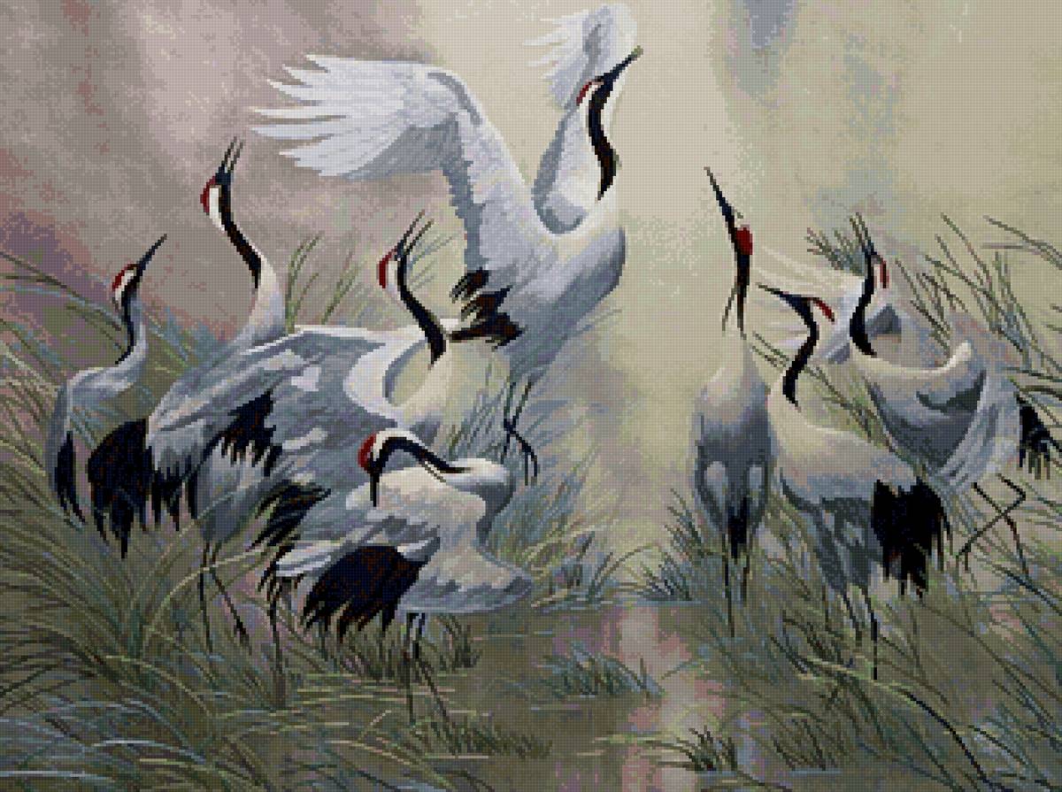 журавлиный танец весны - журавли - предпросмотр