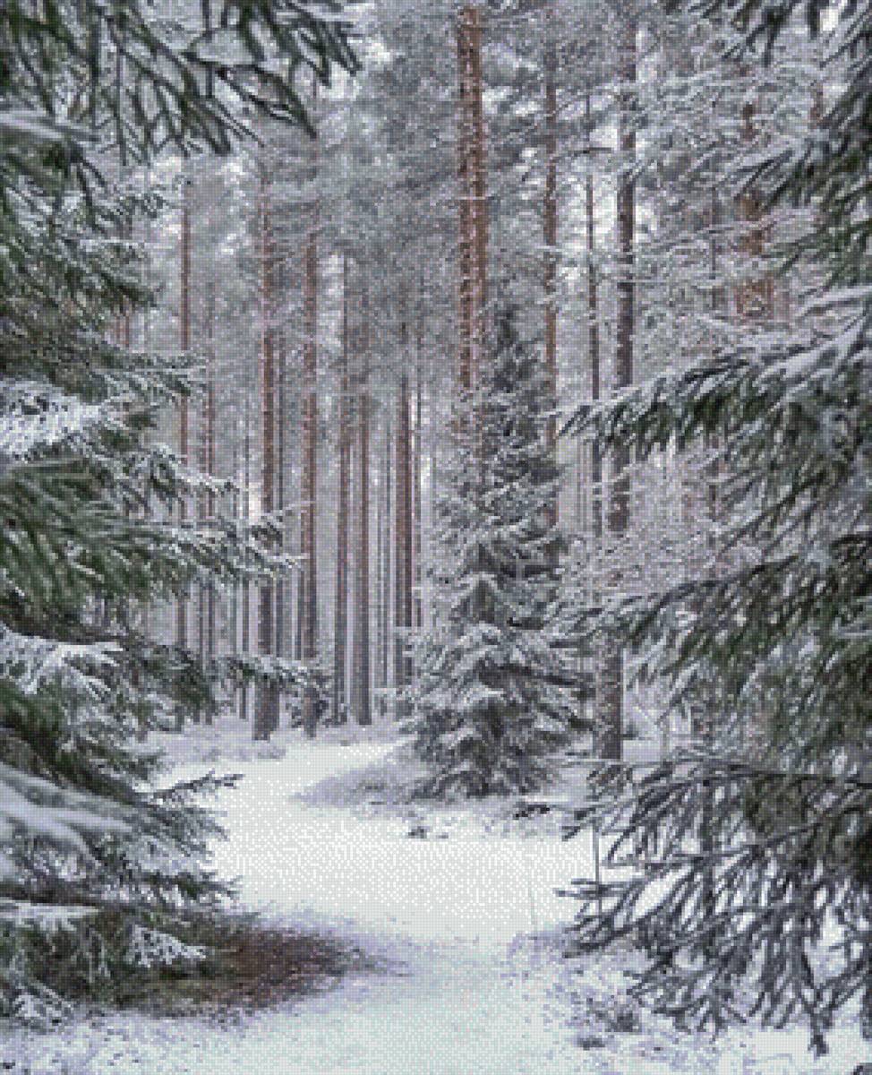 Зимний лес - пейзаж, зима, лес - предпросмотр
