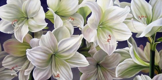 Лилии - цветы, лилии - оригинал