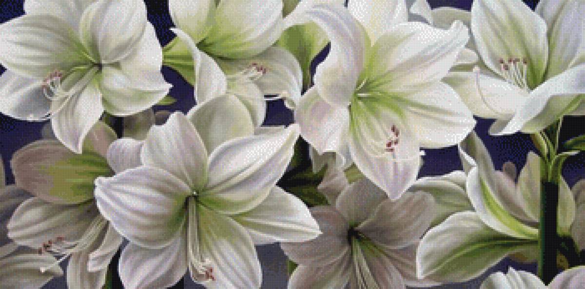 Лилии - цветы, лилии - предпросмотр