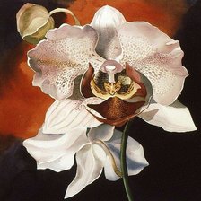 Схема вышивки «№2586499»