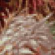 Предпросмотр схемы вышивки «Хризантемы» (№2586655)
