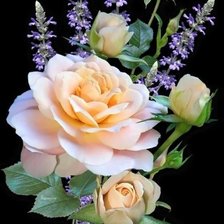 Схема вышивки «Букет»