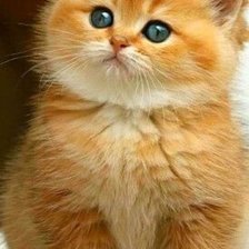 Схема вышивки «Интересно»