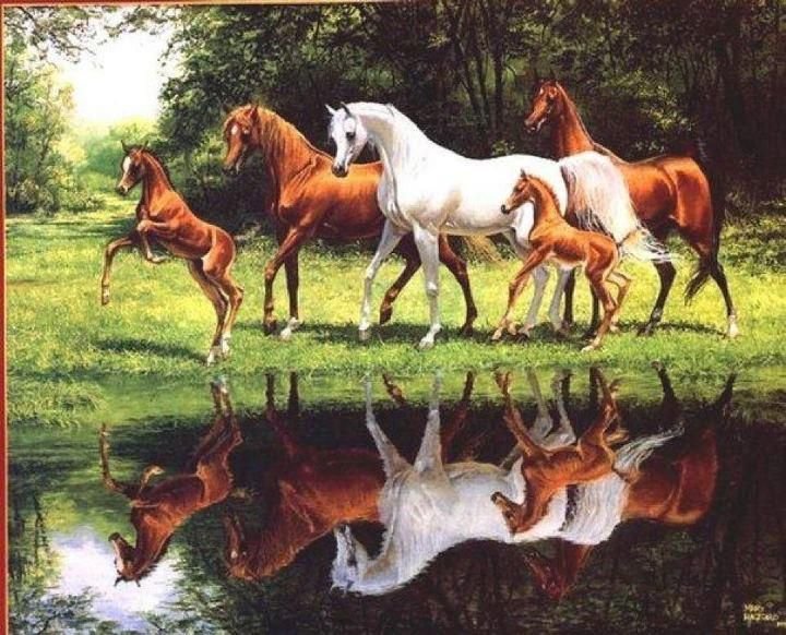 №2586958 - кони, табун, животные - оригинал