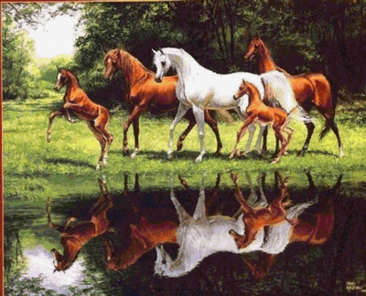 №2586958 - табун, кони, животные - предпросмотр