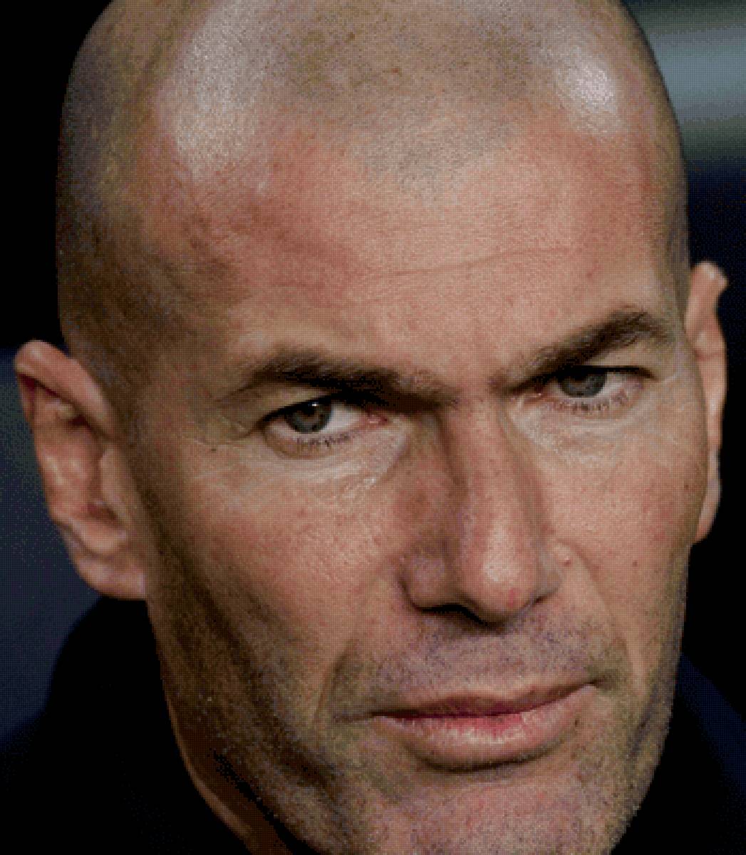 Зинедин Зидан - предпросмотр