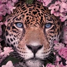 Оригинал схемы вышивки «Леопард в цветах» (№2587481)