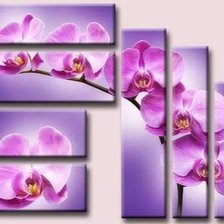 Схема вышивки «№2587870»